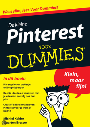 Pinterest voor dummies, boek