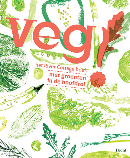 Vegetarisch kookboek Veg!