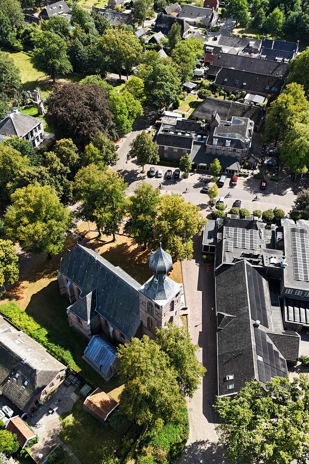 Boomhut slapen Drenthe