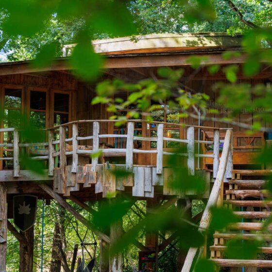 Boomhut slapen Drenthe