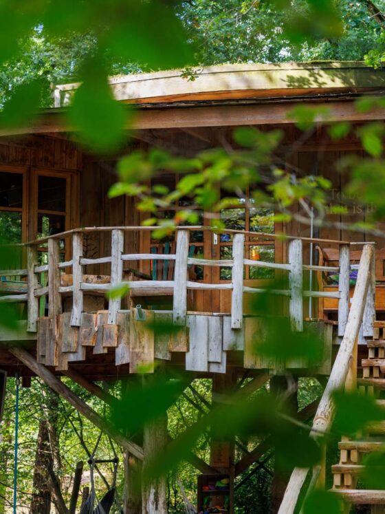 Boomhut slapen Drenthe