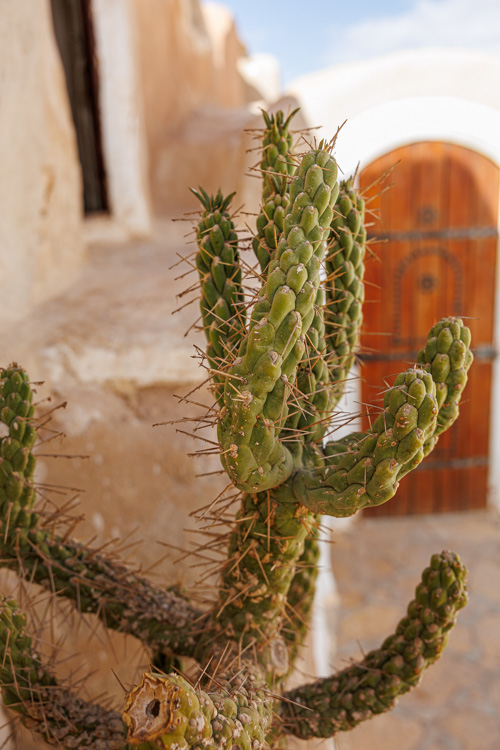 Rondreizen Zuid-Tunesië: Ksar Hadada