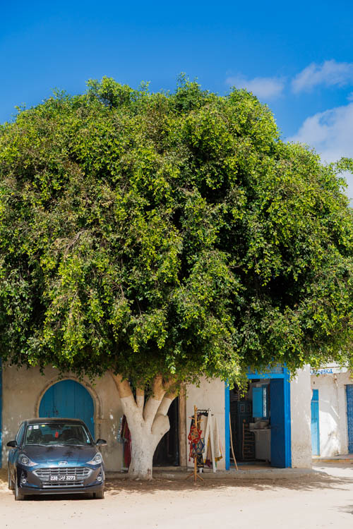 Rondreizen Zuid-Tunesië: Djerbahood